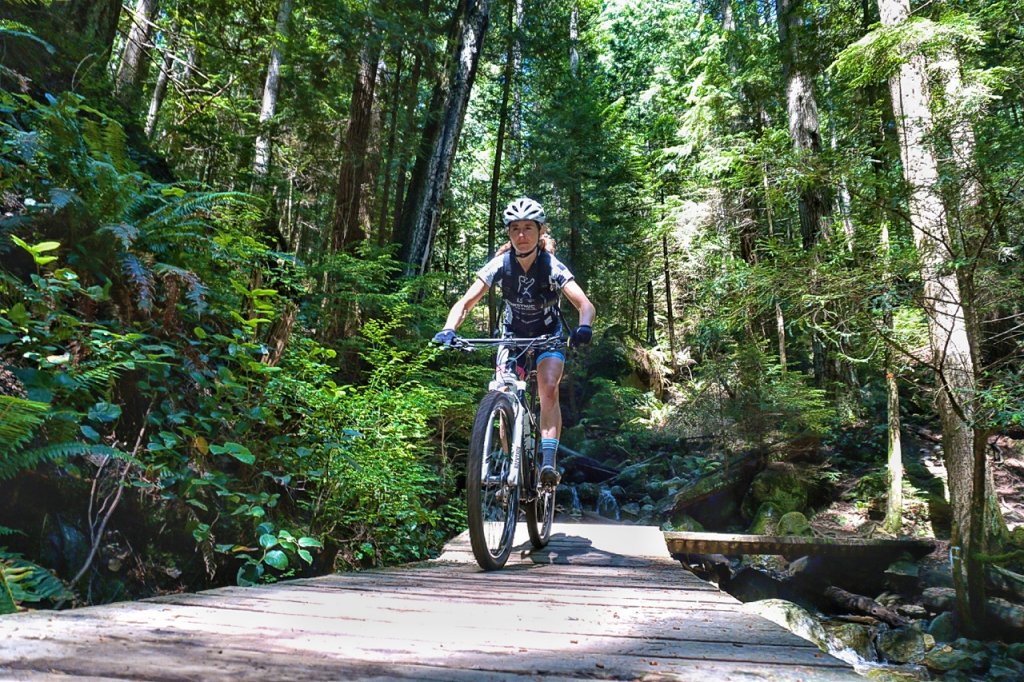 Konstructive NorthShore AG Bridge