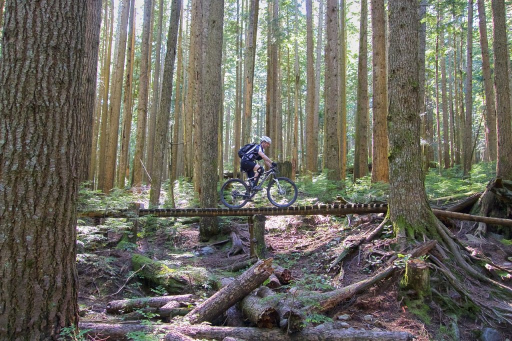 Konstructive NorthShore KH Ladder Bridge