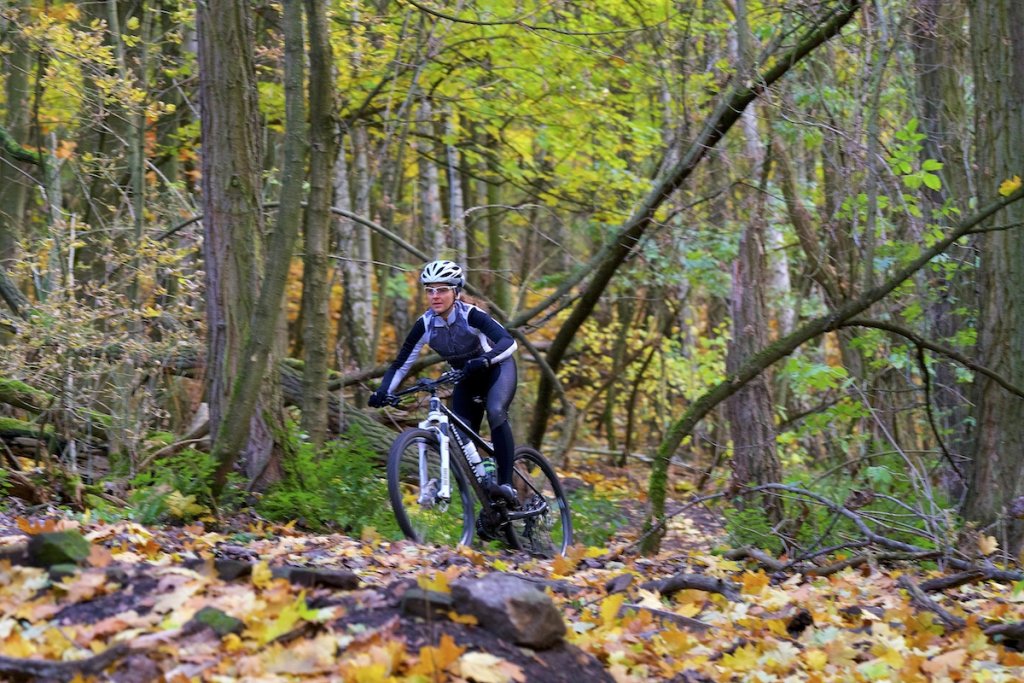 Konstructive SMARAGD AG Fall Downhill Forest Grunewald 1
